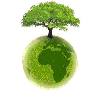 Drzewo Ziemia